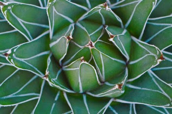 Unsplash ID 4tGG0xDqTlY