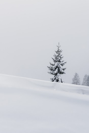 Unsplash ID 4TtcdEAyc3k