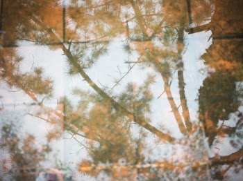 Unsplash ID 4U05tG09kn0
