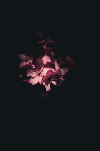 Unsplash ID 4UBHkX2rlMY