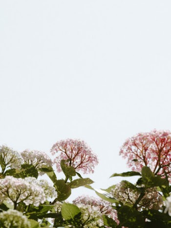 Unsplash ID 4UMWB0_ENMc