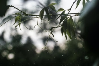 Unsplash ID 4vJI1vq0UCk
