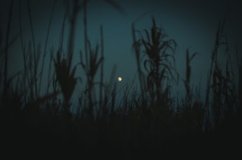 Unsplash ID 4VYviwlpto8