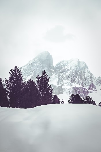 Unsplash ID -4WLn9giArE