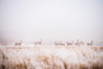 Unsplash ID 4YcwihMO2Ao