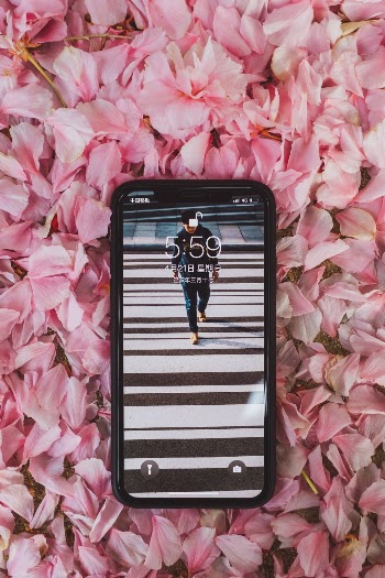 Unsplash ID 50cIZLc-T4I