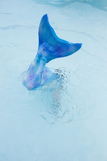 Unsplash ID 55f1648Z2j8