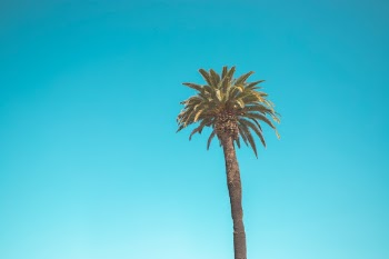 Unsplash ID 567UmWZIYJ8