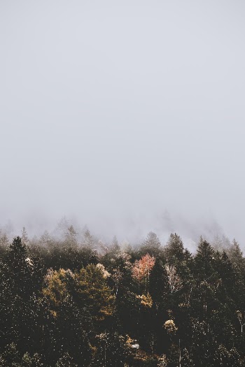 Unsplash ID 57slHZZHeuc