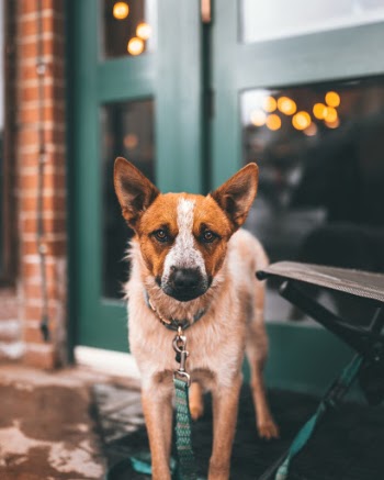 Unsplash ID 594qUM8szwk