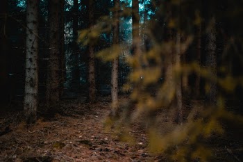 Unsplash ID 5B1KjgRenbs