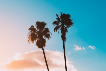 Unsplash ID 5B1mB7Sdbg0