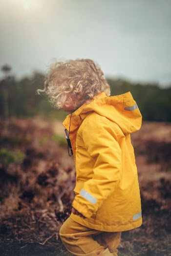 Unsplash ID 5d-lWgkvleU