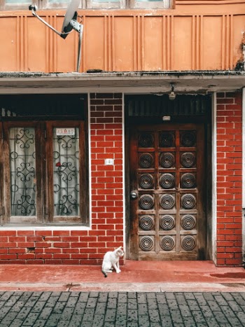 Unsplash ID 5DZbgcXTwIA