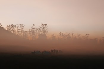 Unsplash ID 5fGdx3Kro2s