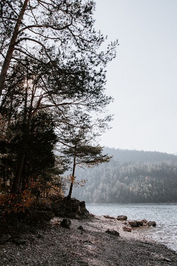 Unsplash ID 5Hgov2GTADc