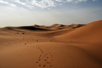 Unsplash ID 5kj4rKV2I6A