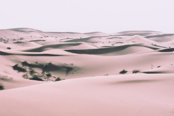 Unsplash ID 5KzJ_AWPs5c