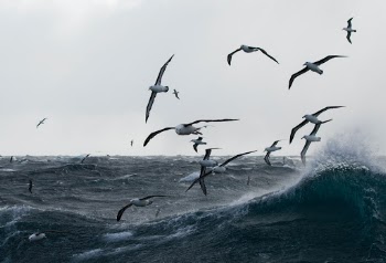 Unsplash ID 5o7Gj8l2AOY