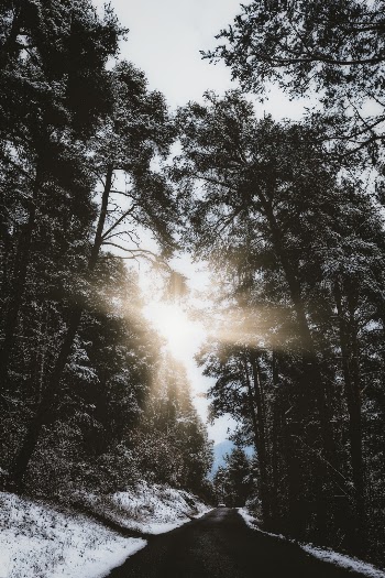 Unsplash ID 5P8rFXb3DPA