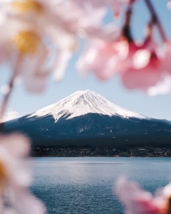 Unsplash ID 5SOwqwL2kf8