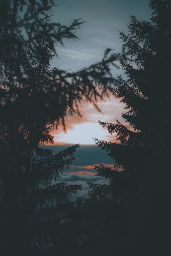 Unsplash ID 5T63Q3a7JrE