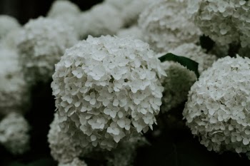 Unsplash ID 5TMADnIBm6k