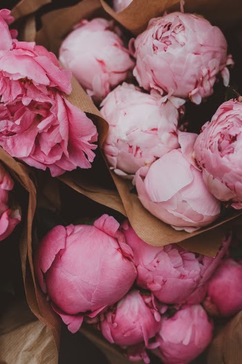 Unsplash ID 5U_-iTN0VEc