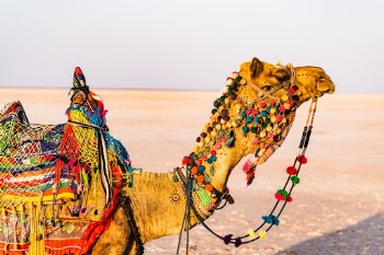 Unsplash ID 5U132F-itpg