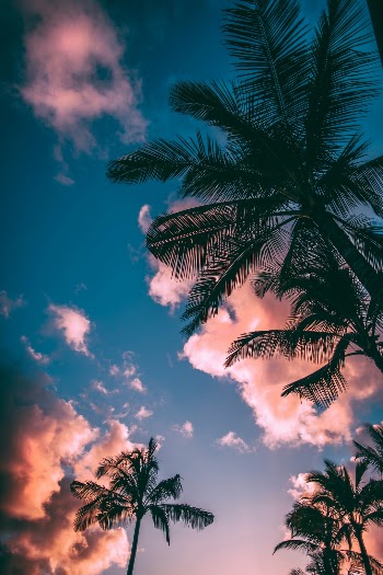 Unsplash ID 5ui0tfMC5ts