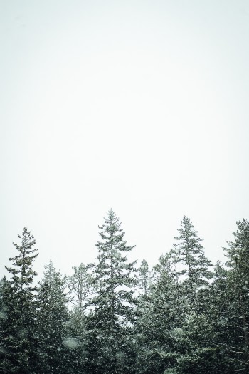Unsplash ID 5WYKhfXZ7gs