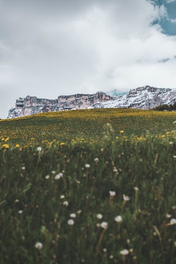 Unsplash ID 5ywN3hhF474