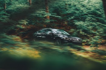 Unsplash ID 6_oBarKhO8M