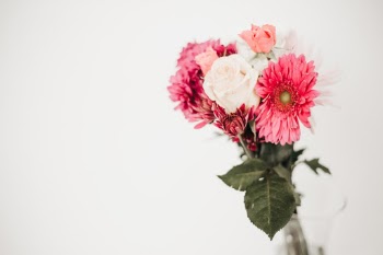 Unsplash ID 6_sbNBh53wg