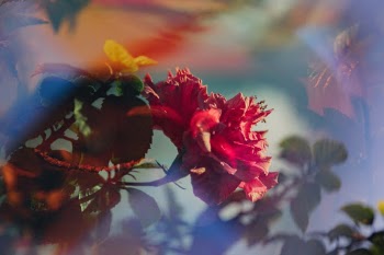 Unsplash ID 61RmZvKHu0M