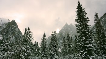 Unsplash ID 622xRBmmMNY