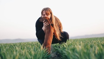 Unsplash ID 62FcizTWTbY