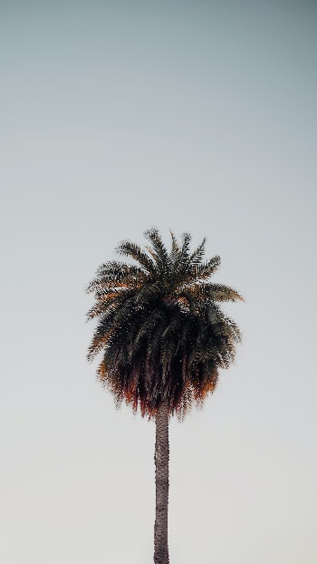 Unsplash ID 67xC2DR7J1c