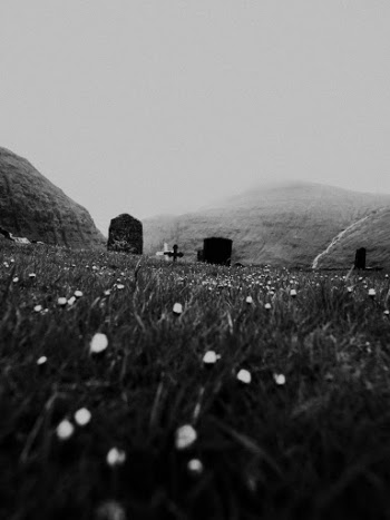 Unsplash ID _68jtqcRCwI