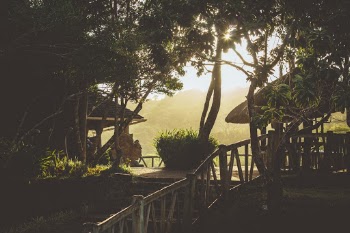 Unsplash ID 68yk-ONXyS0