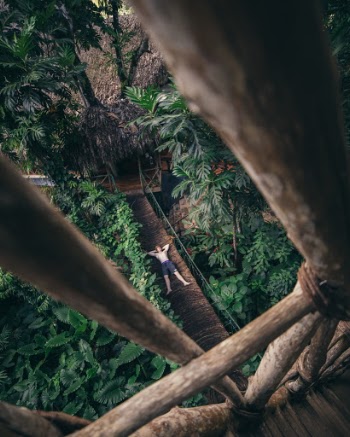 Unsplash ID 69C177OYn7c