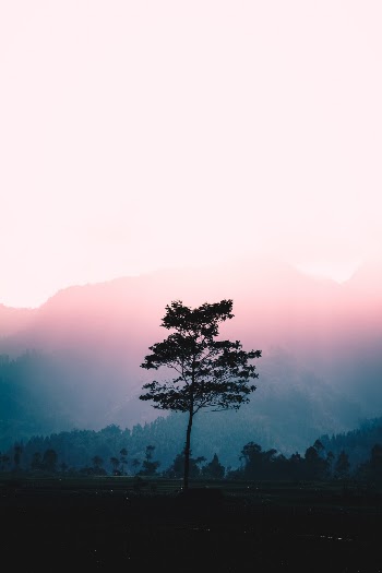Unsplash ID 6biqtvPSCH4