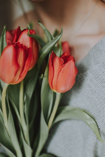 Unsplash ID 6bvV9gDllE0