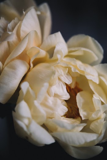 Unsplash ID 6BykweIpp8s
