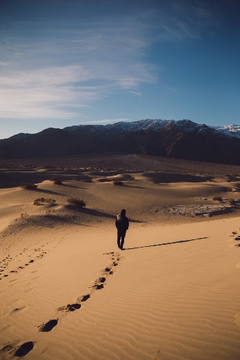 Unsplash ID 6C0u7Vytc2I