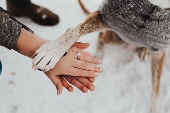 Unsplash ID 6cgdVkMxpCg