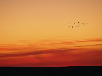 Unsplash ID 6CT1FOQmzVE