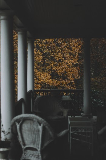 Unsplash ID 6Cu9DtcEnds