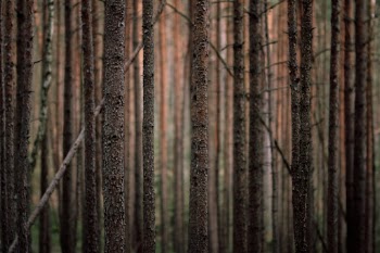 Unsplash ID 6e1bs-HiA2E