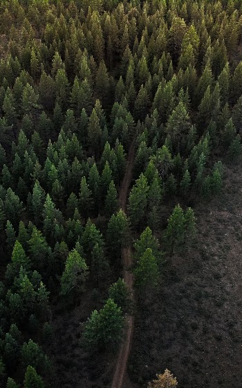 Unsplash ID 6EljUULo4FQ